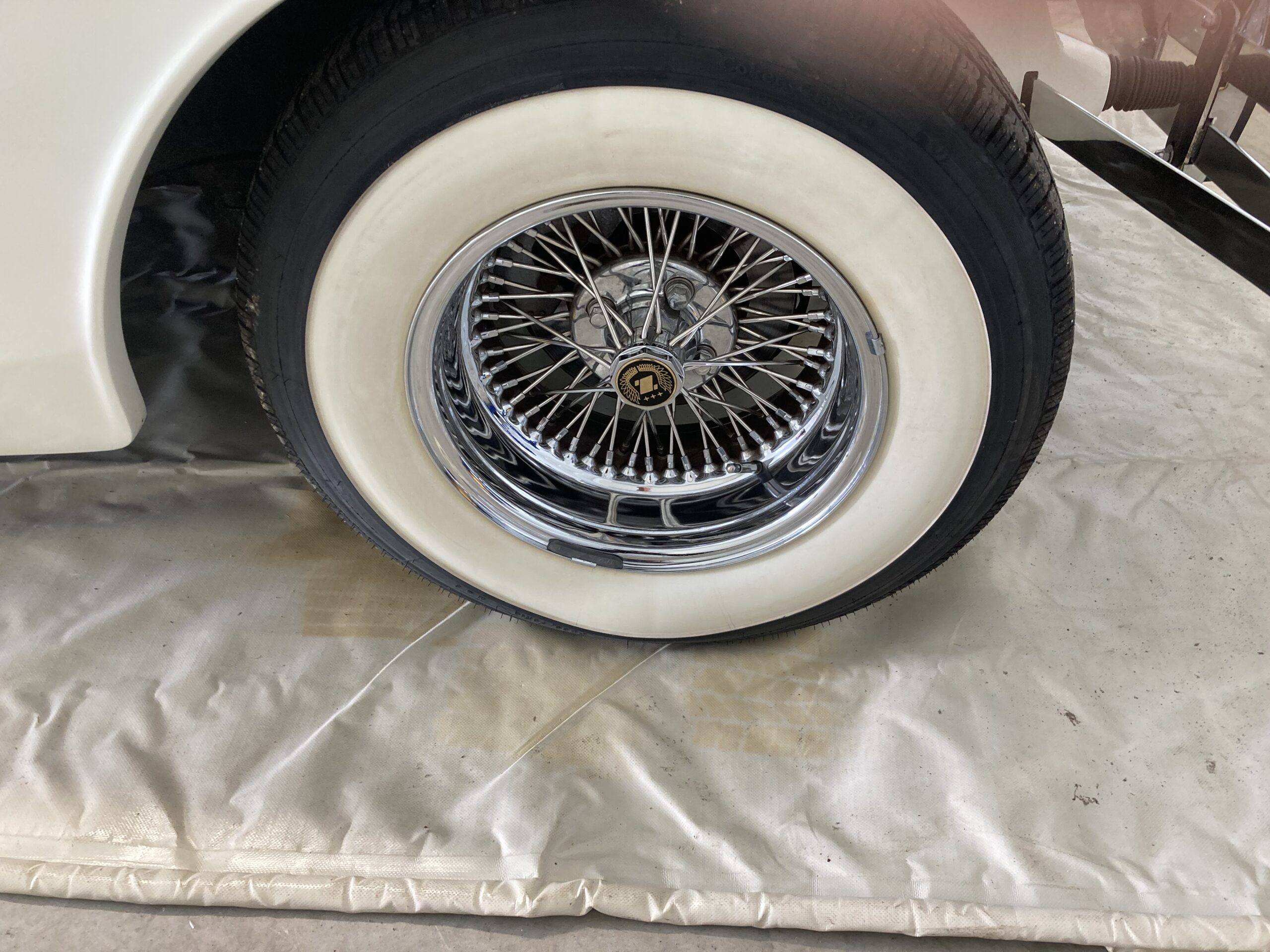 Photo 2024-05-15, 8 55 58 AM